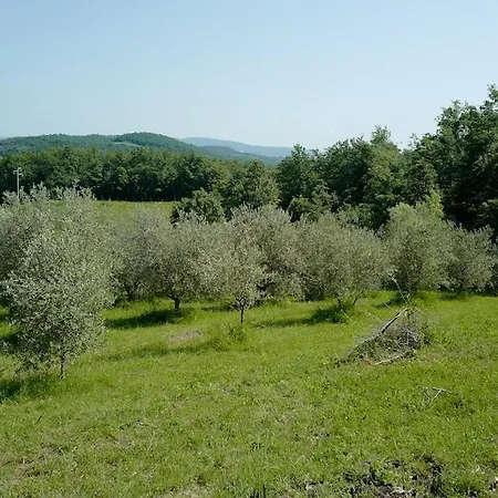 Di Piera *