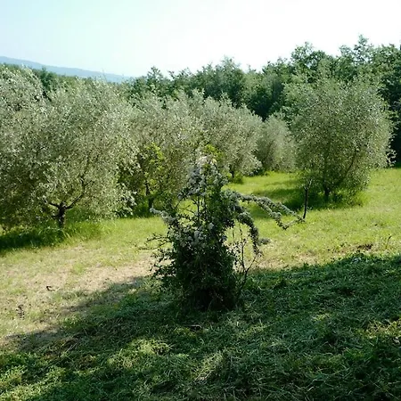 Di Piera Montieri
