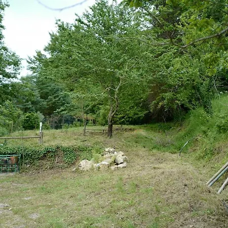 Di Piera *