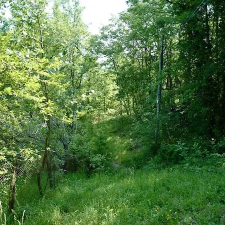 Di Piera Villa *