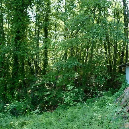 Di Piera Villa *