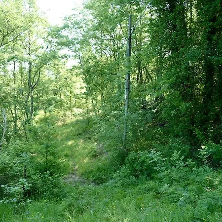 Di Piera Villa Montieri
