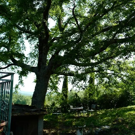 Villa Di Piera Montieri