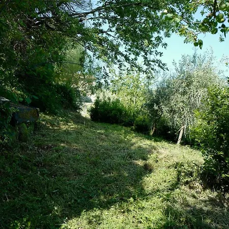Di Piera *