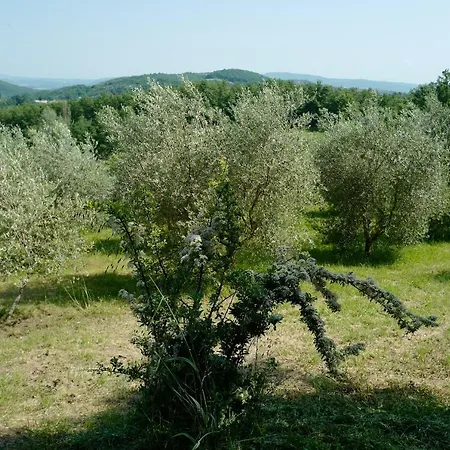 Di Piera Villa