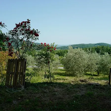 Di Piera Montieri