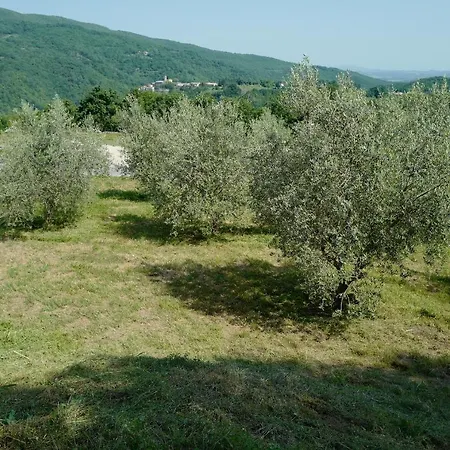 Di Piera