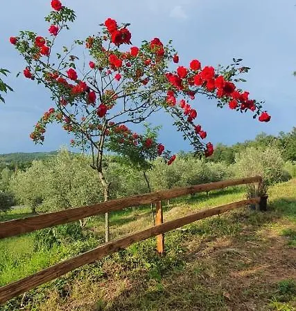Di Piera * Montieri