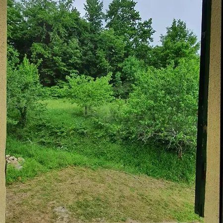 Di Piera Montieri
