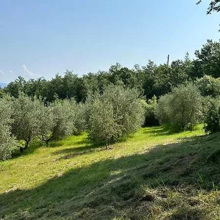 Villa Di Piera *