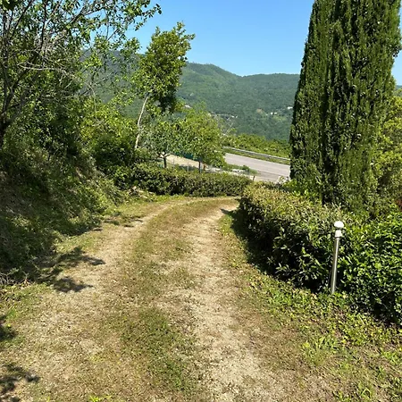 Di Piera *